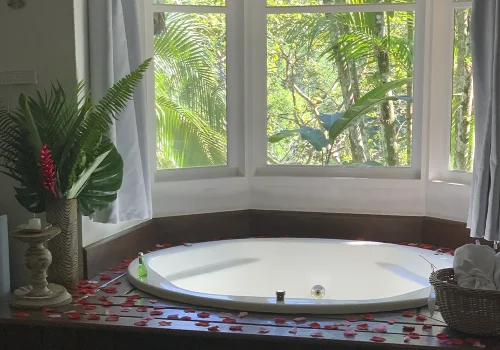Pousada-Bromelias-Paraty-17