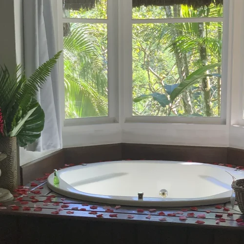 Pousada-Bromelias-Paraty-17