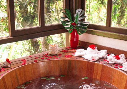 spa2